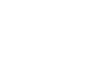 imu-300x300